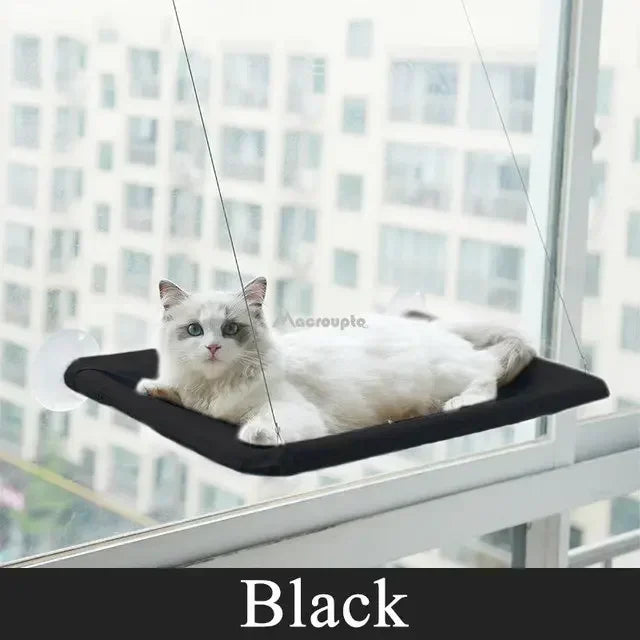Hanging Cat Hammock Bed