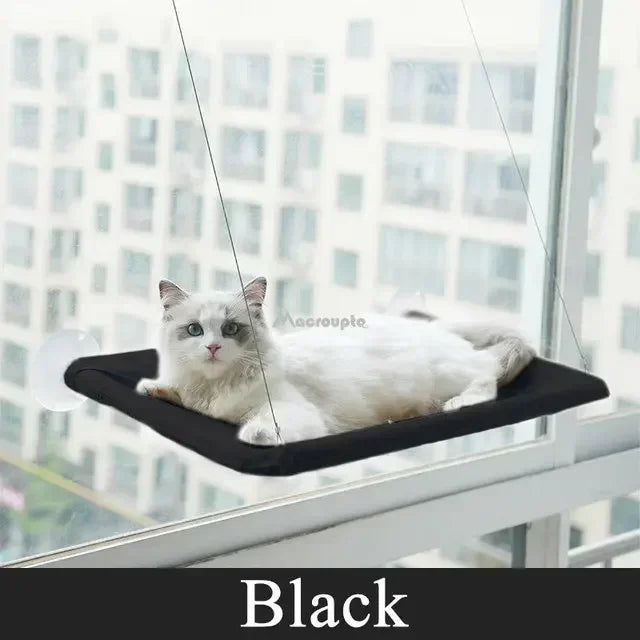 Hanging Cat Hammock Bed