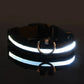 LED Dog Collar – USB Rechargeable, Waterproof & Night Safety Light