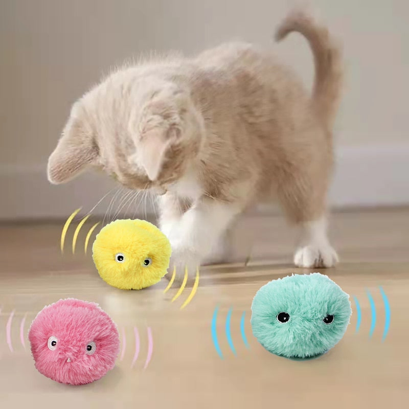 Cat Collection